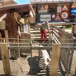Apartmán Gaestehaus Schwaiger *