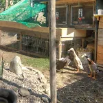 Διαμέρισμα Gaestehaus Schwaiger *