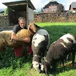 Apartmán Gaestehaus Schwaiger *