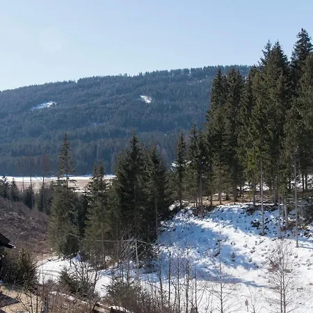Apartamento Gaestehaus Schwaiger Mariapfarr