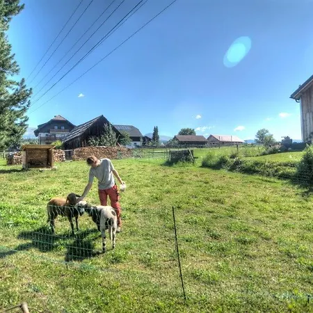 Gaestehaus Schwaiger Apartment