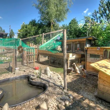 Gaestehaus Schwaiger Appartamento *