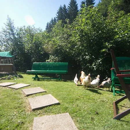 Gaestehaus Schwaiger * Mariapfarr