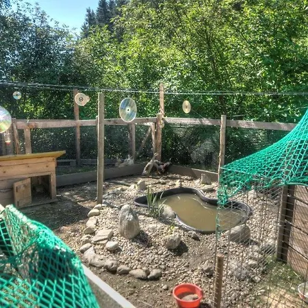 Gaestehaus Schwaiger * Mariapfarr