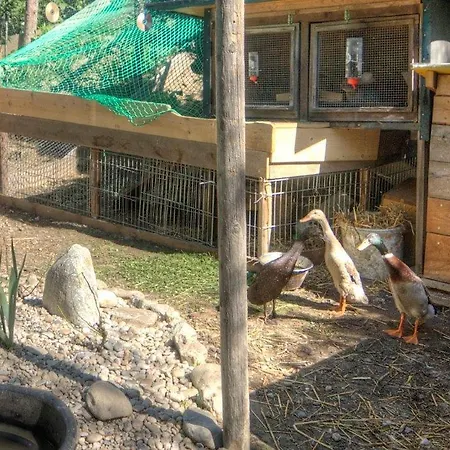 Appartamento Gaestehaus Schwaiger *