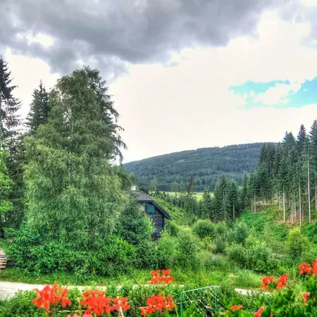 Apartamento Gaestehaus Schwaiger Mariapfarr
