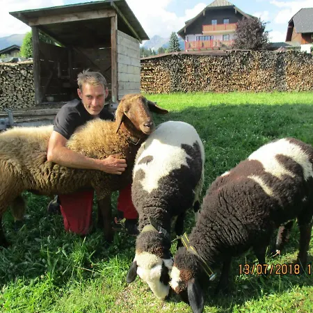 Apartment Gaestehaus Schwaiger *