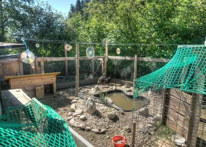 Gaestehaus Schwaiger * 玛利亚普法尔